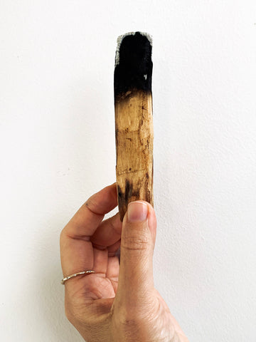 Palo Santo "Holy Wood" Stick (10cm)