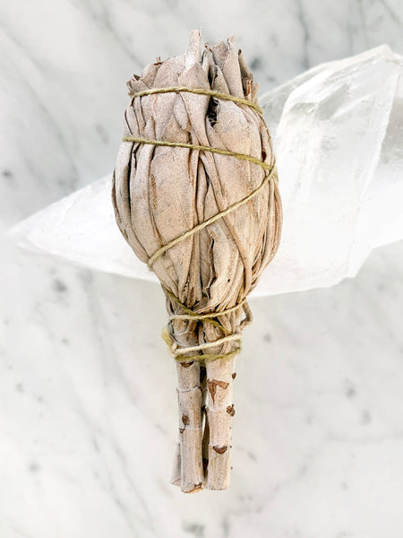 Clearing White Sage Smudge Stick (10-12cm)