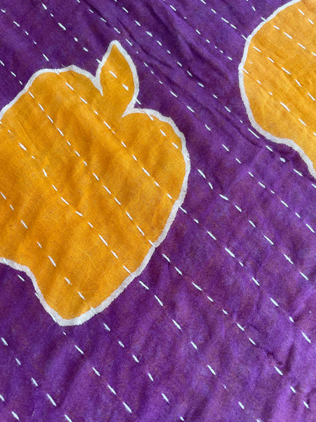 Vintage Indian Reversible Kantha Throw (Number 63)