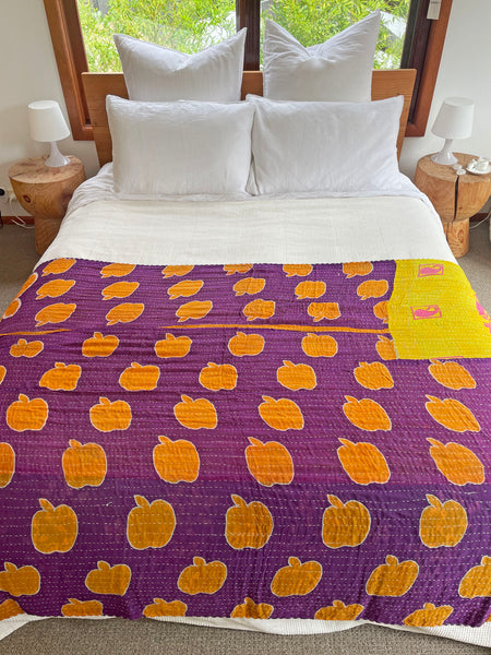 Vintage Indian Reversible Kantha Throw (Number 63)