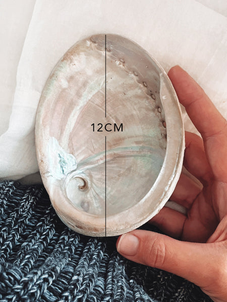 Natural Australian Abalone Shell for Smudging MEDIUM (12cm)