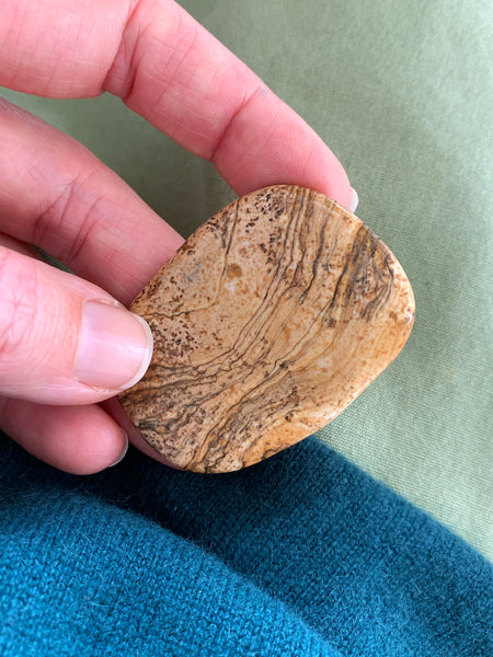 Palm Stone Crystal (Picture Jasper)