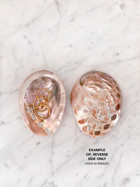 Small Red Natural Abalone Shell (7cm)
