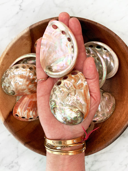 Small Red Natural Abalone Shell (7cm)