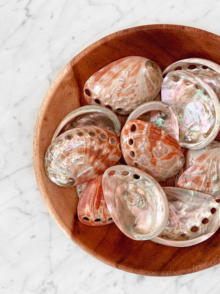 Small Red Natural Abalone Shell (7cm)