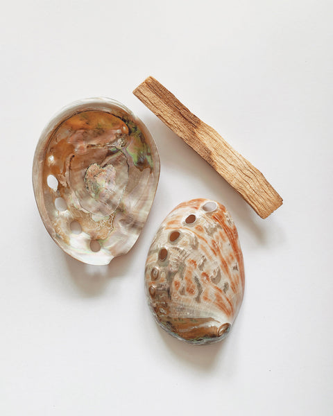 Small Red Natural Abalone Shell (7cm)